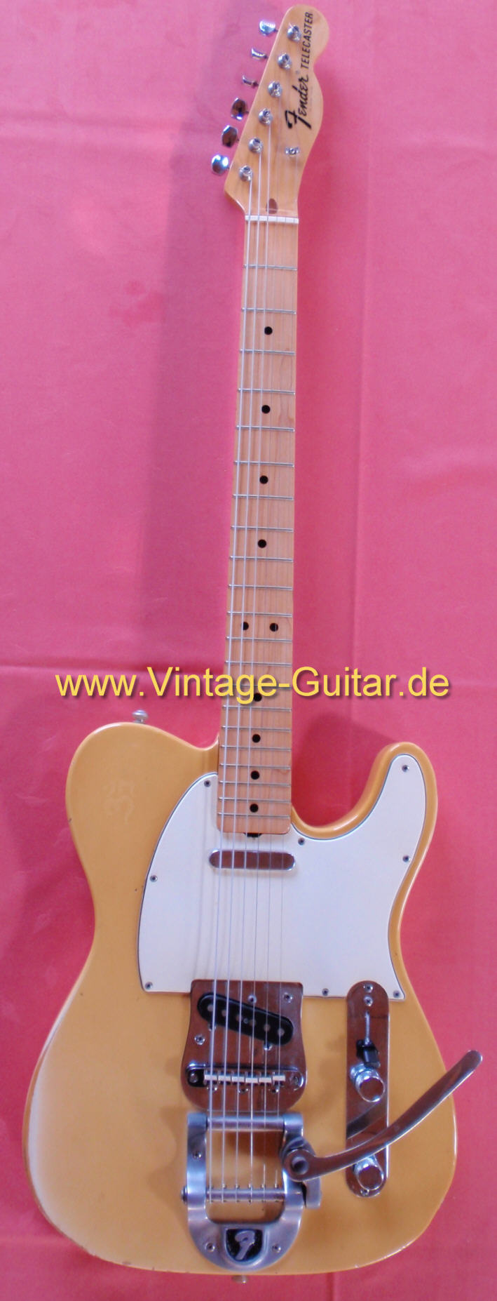 Fender Telecaster 1969 Bigsby a.jpg
